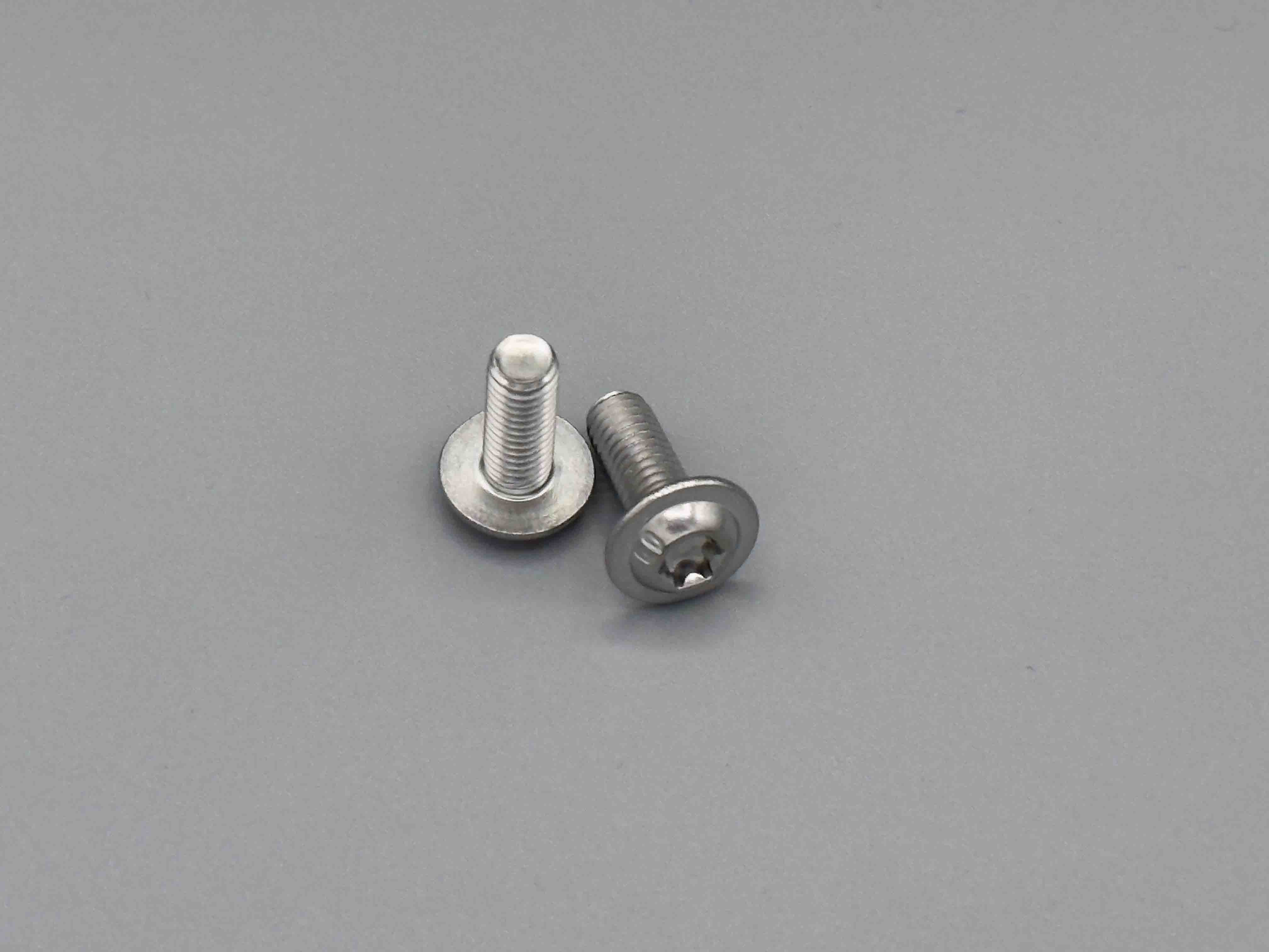 Schrauben zur Befestigung der Fast Plate