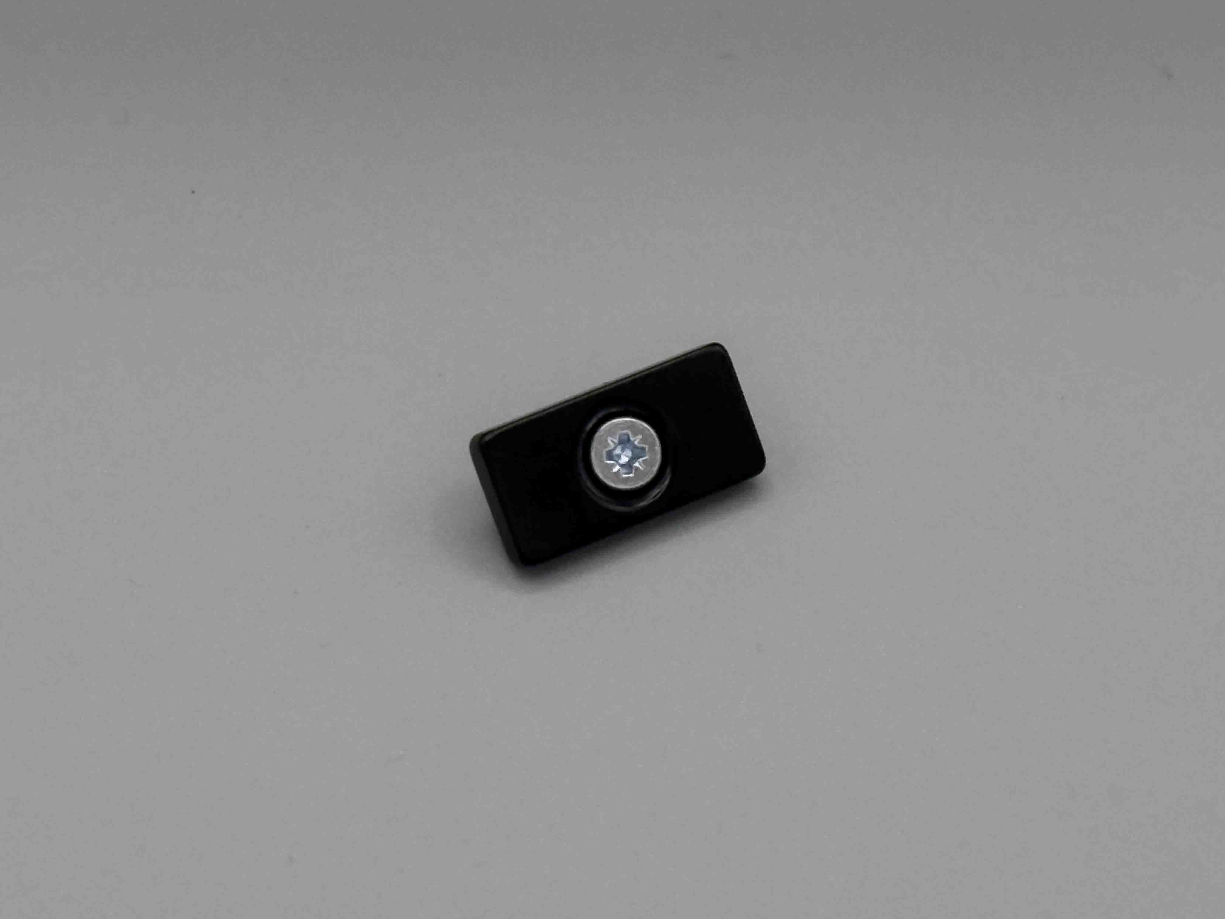 Magnet